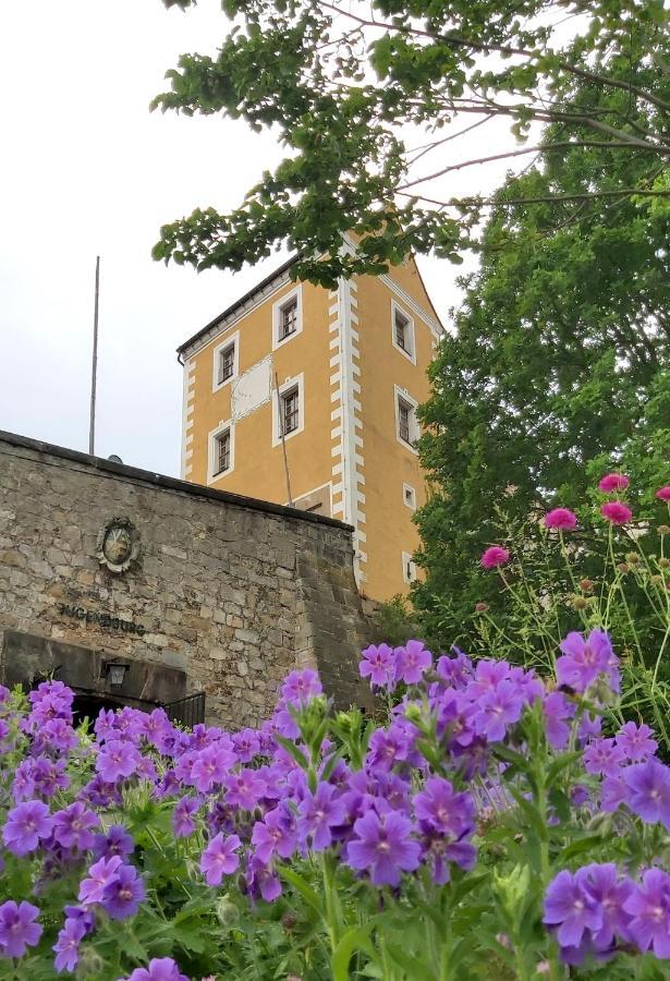 Cosis Ferienwohnung 霍恩斯泰因 外观 照片